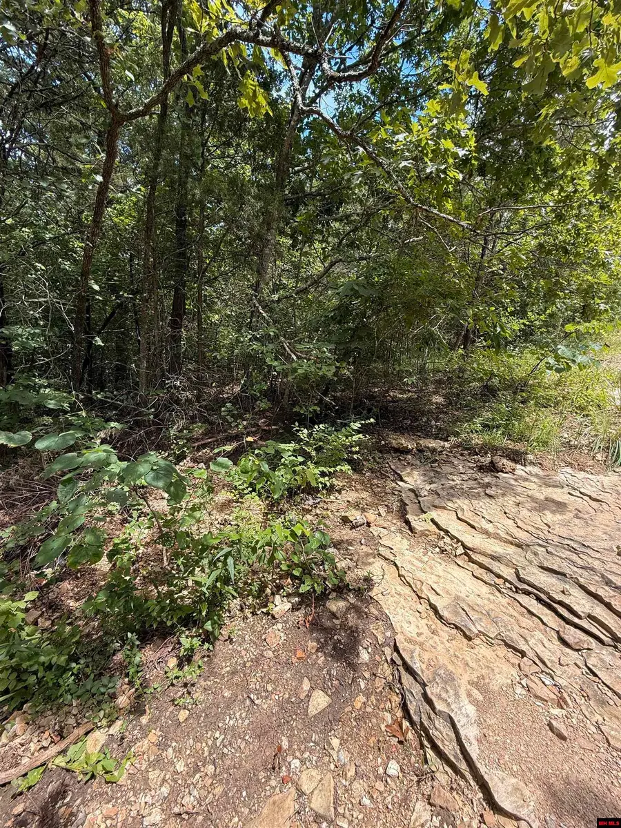 002-08487-033 MILLER DRIVE, Henderson, AR 72544 - Image #3