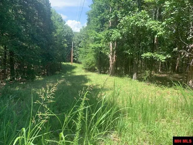 001-09509-000 LAZY ACRES ROAD, Protem, AR 65733 - #2