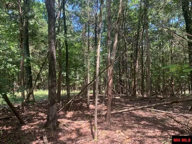 001-09509-000 LAZY ACRES ROAD, Protem, AR 65733 - #3