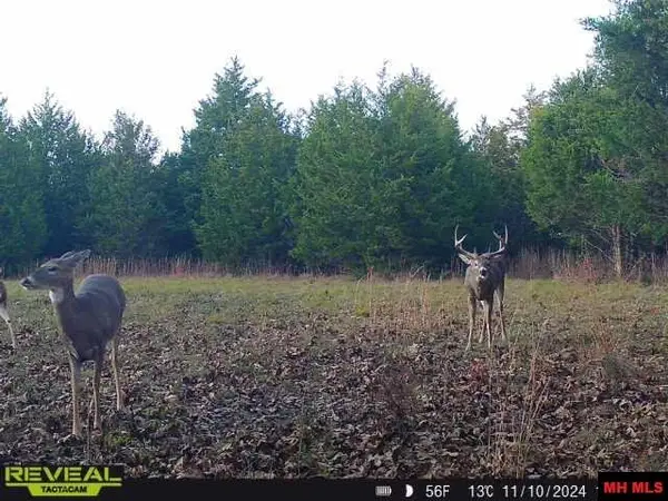 160736000000005 STATE HWY W, Houston, MO 65484