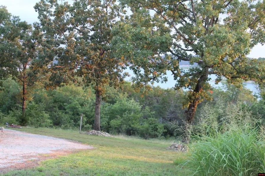 330-00004-000 LAZY ACRES ROAD, Protem, MO 65733 - Image #3