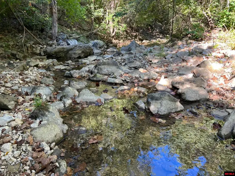 001-00472-000 OLD RUSH CREEK ROAD, Yellville, AR 72687 - Image #3