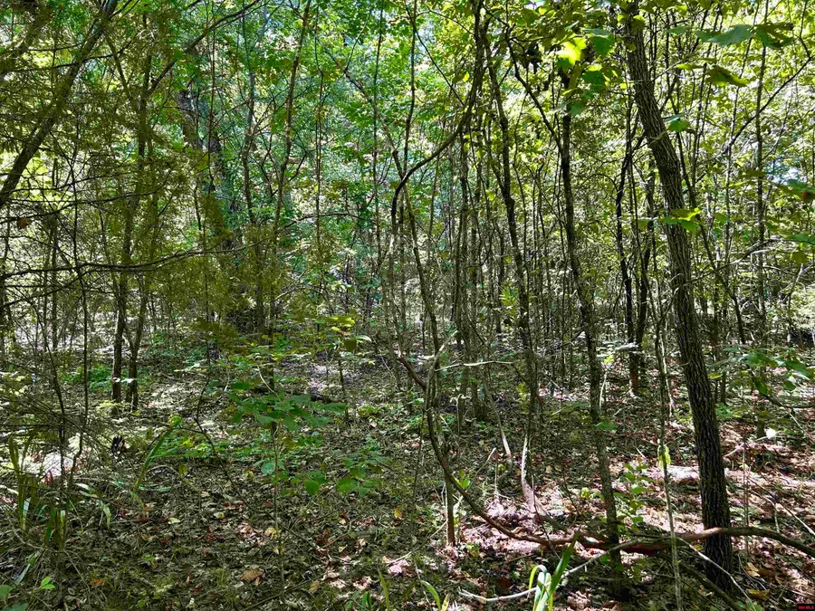 001-04468-000 CR 606, Mountain Home, AR 72653 - Image #3