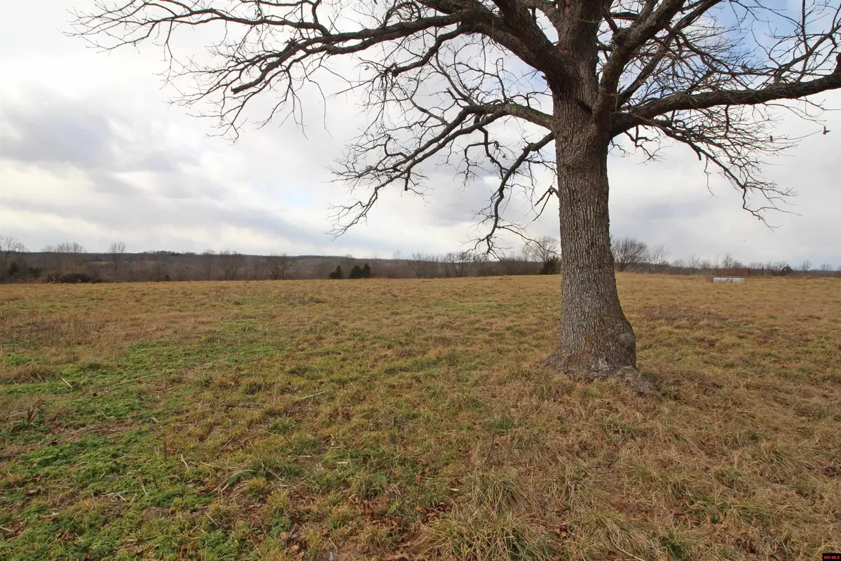 TBD COUNTY ROAD 7830, Caulfield, MO 65626 - Image #1