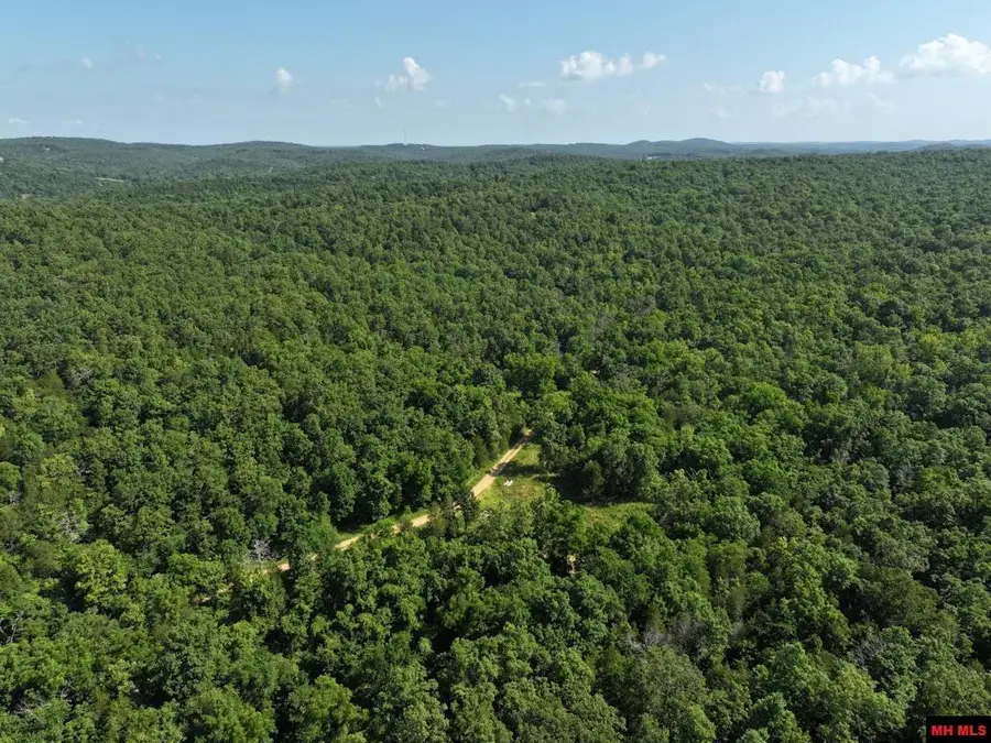 170624000000001 CR 630, Gainesville, MO 65655 - Image #3