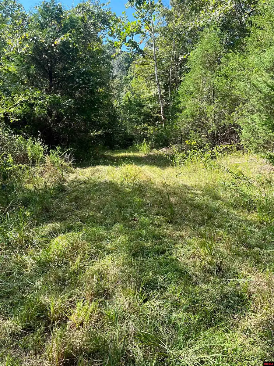 001-10532-000 MC 3016, Harrison, AR 72601 - Image #3