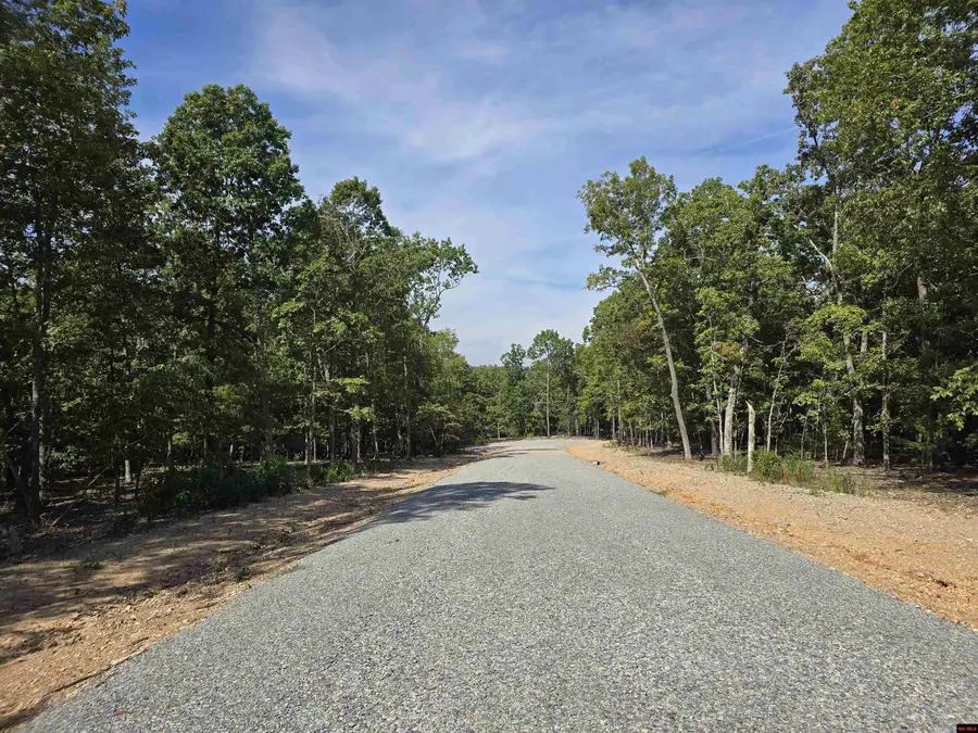 Lot 2 RIZZLER COURT, Elizabeth, AR 72531 - Image #3