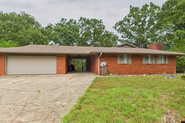 1095 HICKORY FLATS LANE, Lakeview, AR 72642