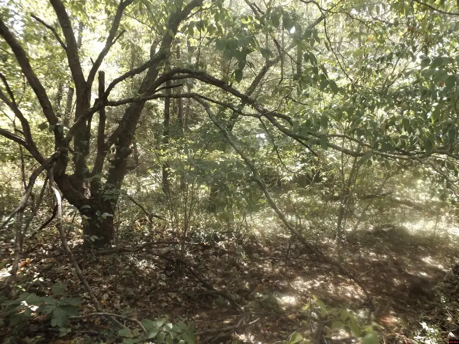 002-10881-000 HWY 178, Lakeview, AR 72642 - Image #3