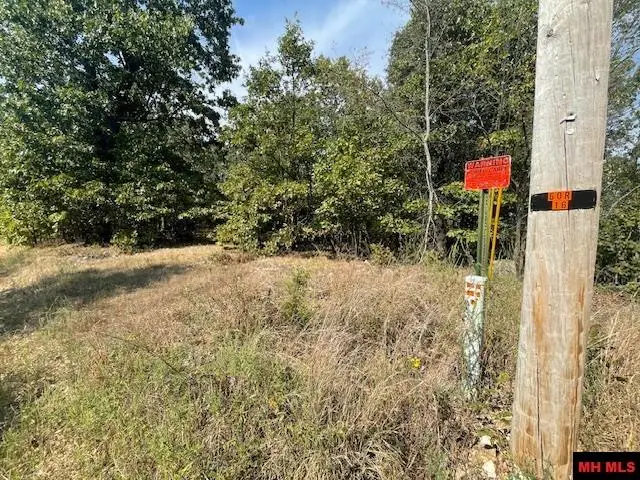 001-04716-000#1 BLUEBERRY LANE, Yellville, AR 72687 - Image #2