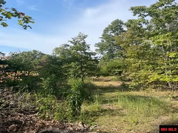 001-04716-000#2 BLUEBERRY LANE, Yellville, AR 72687