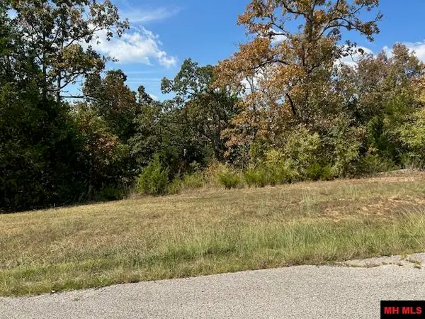 TBD CONCORD LANE, Mountain Home, AR 72653