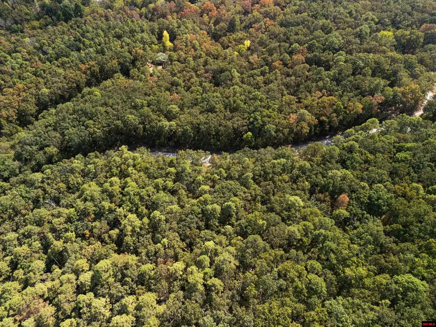 001-01299-000 DWELLE ROAD, Norfork, AR 72658 - Image #3