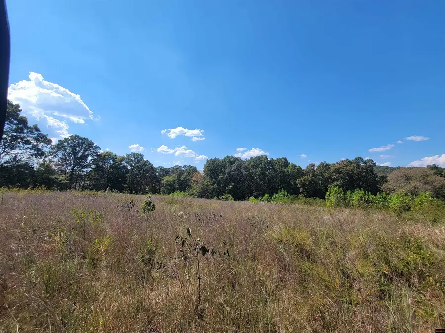 11-0.3-05-000-0 CR 330, Gainesville, MO 65655 - Image #2