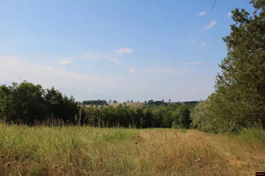 001-07419-000 MC 4003, Yellville, AR 72687 - Image #3