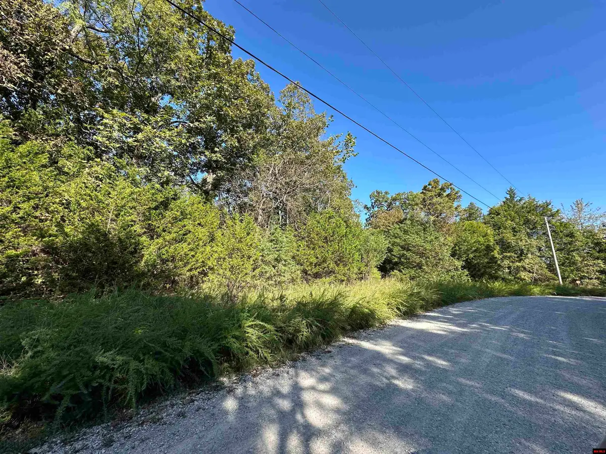 Lots 1 & 2 ROUND MOUNTAIN DRIVE, Flippin, AR 72634 - #1