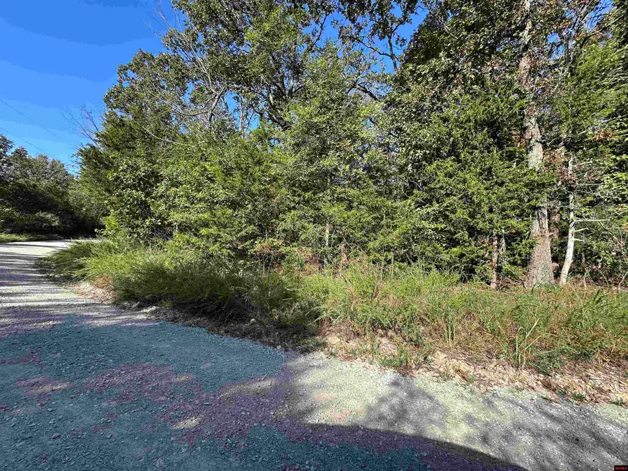 Lots 1 & 2 ROUND MOUNTAIN DRIVE, Flippin, AR 72634 - #2