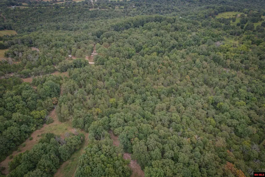 Tract A CR 1034, Clarkridge, AR 72623 - Image #3