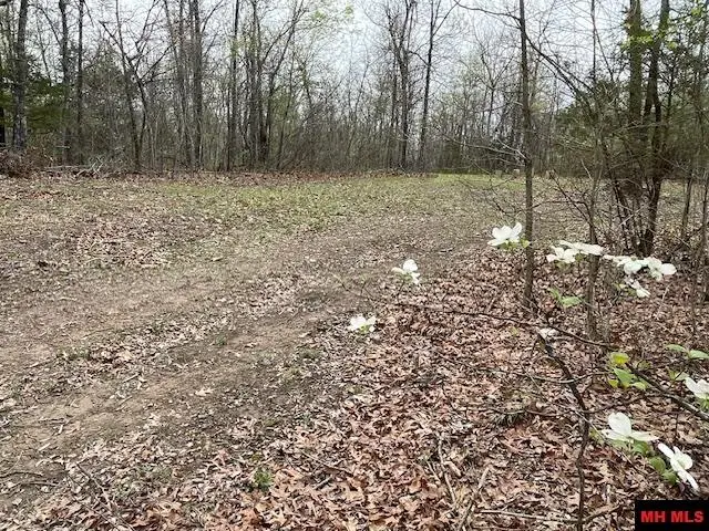 2100 HWY 14 NORTH, Yellville, AR 72687 - Image #1