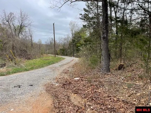 001-05145-004 HWY 14 NORTH, Yellville, AR 72687 - Image #3