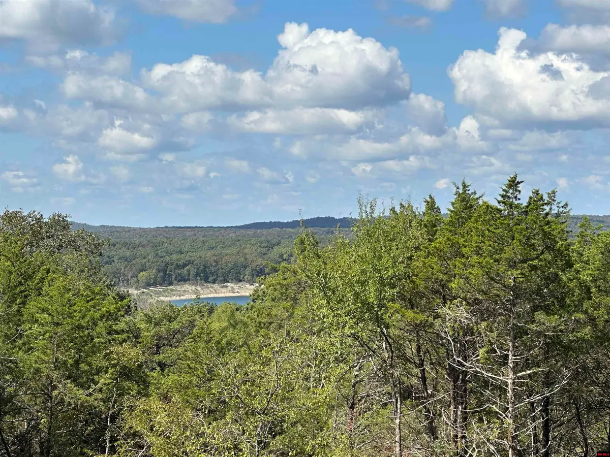 95 INFERNO LANE, Marion County, MO 72661 - Image #1