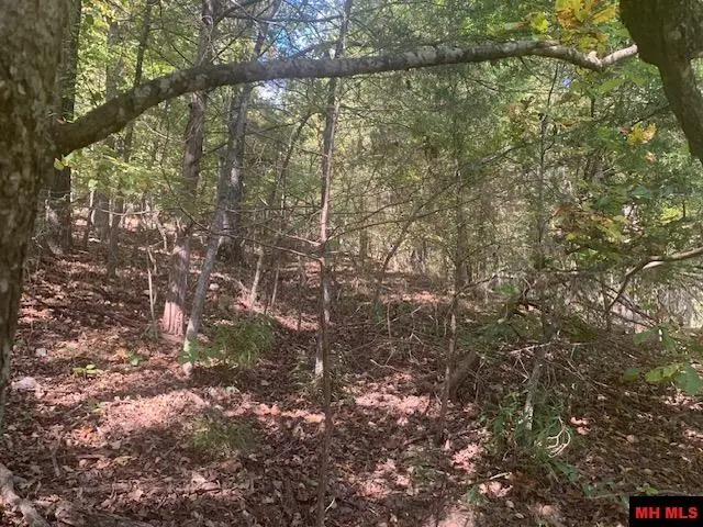 001-03486-000 HWY 14 SOUTH, Yellville, AR 72687 - Image #3