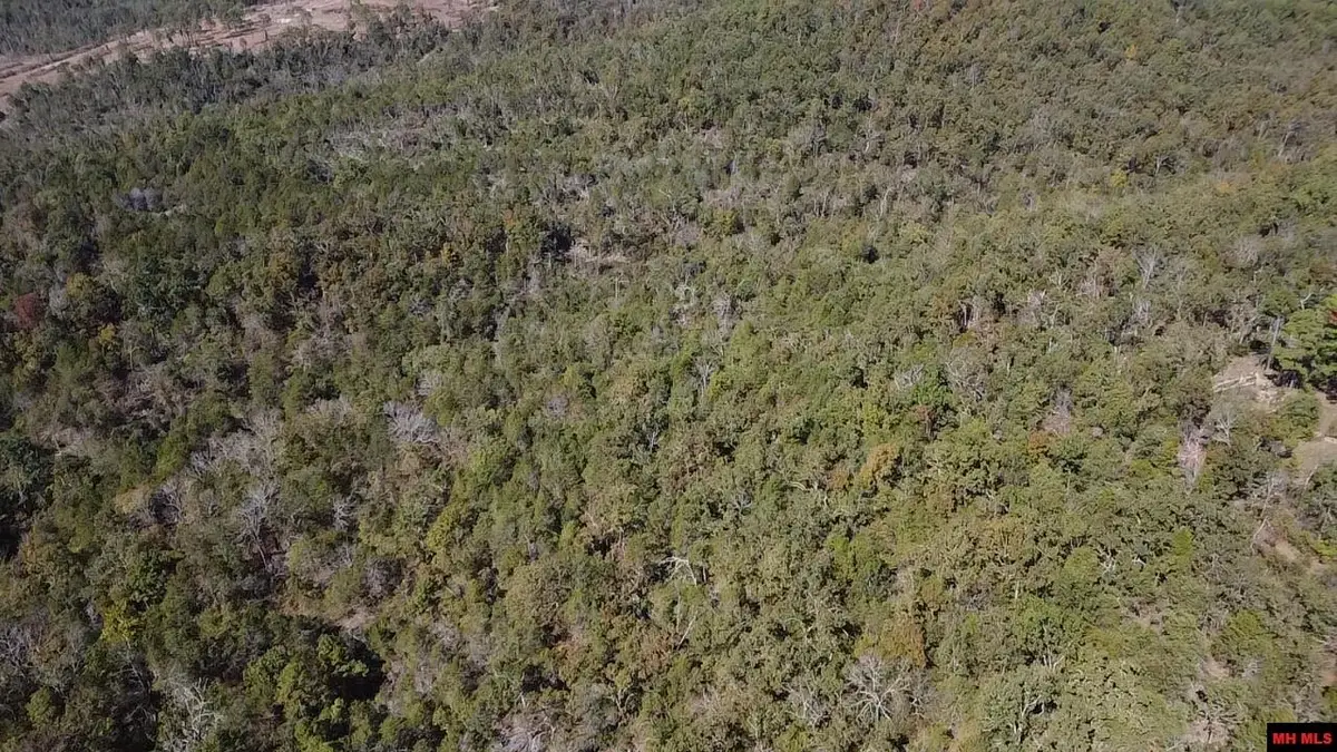 009-02955-001 OWENS DRIVE, Salesville, AR 72653 - Image #1