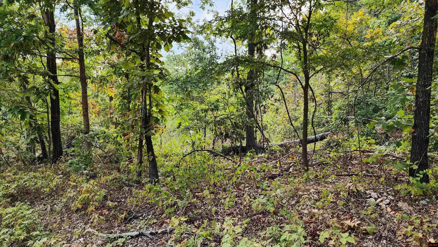 6901 MC 8061, Flippin, AR 72634 - Image #2