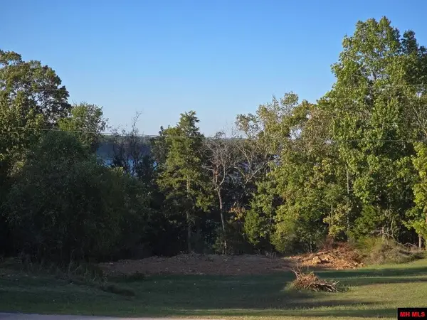 760-24339-013 FERNCLIFF POINT, Bull Shoals, AR 72619