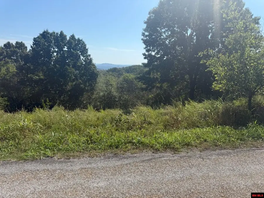 566-00001-000 MC 8001, Yellville, AR 72687 - Image #3