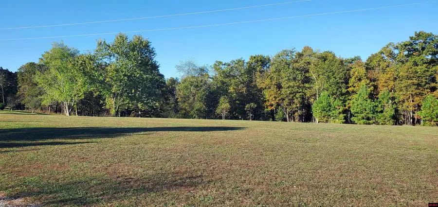 3694 COUNTY ROAD 5320, Pomona, MO 65789 - Image #3