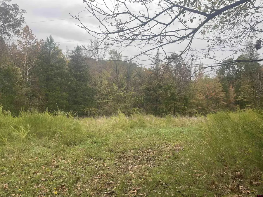 618 DRIFTWOOD DRIVE, Pineville, AR 72566 - Image #3