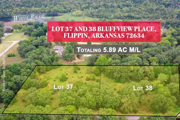 Lots 37 and 38 BLUFFVIEW PLACE, Flippin, AR 72634