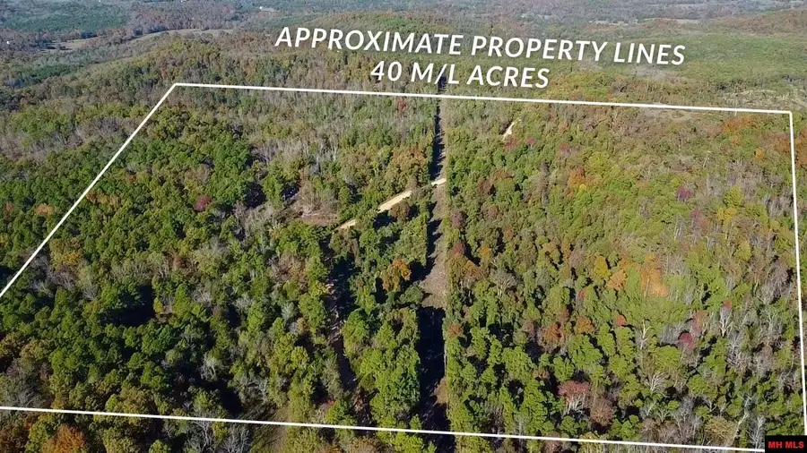 001-08538-000 MCGENES CREEK ROAD, Bexar, AR 72515 - Image #2