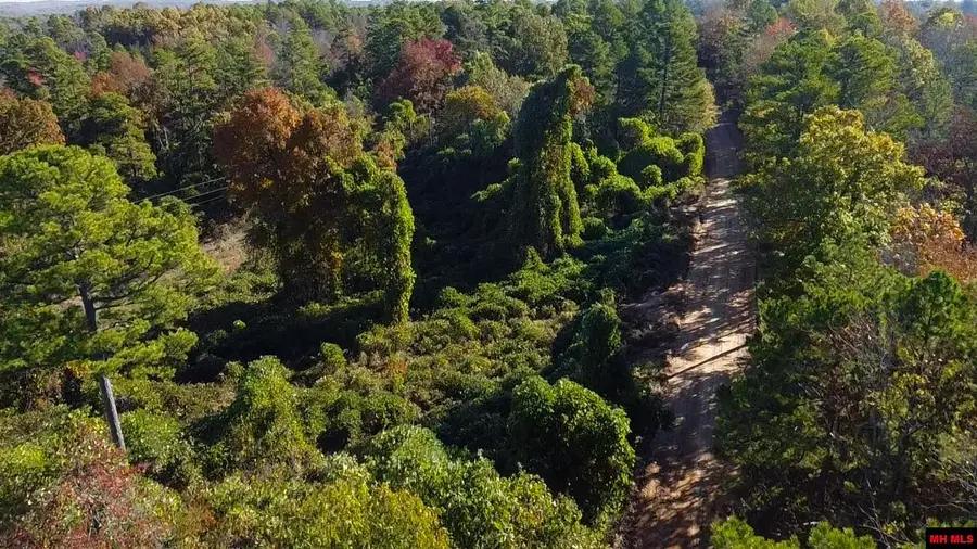 001-08538-000 MCGENES CREEK ROAD, Bexar, AR 72515 - Image #3