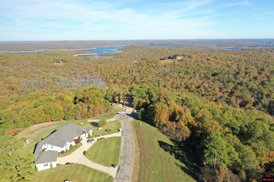 010-11219-046 SWISS ALPS LANE, Mountain Home, AR 72653 - Image #2