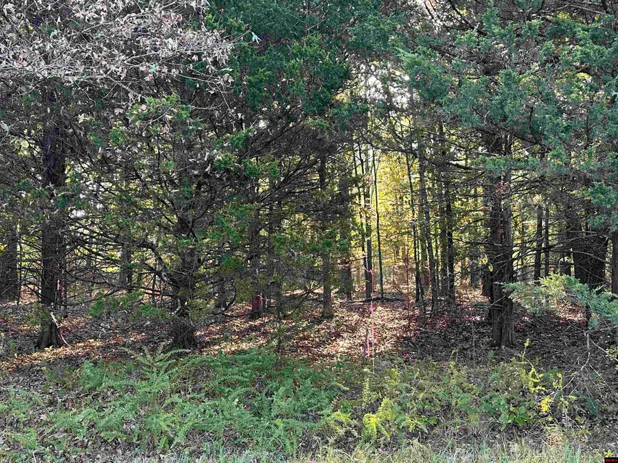 002-04923-009 HAND COVE ROAD, Elizabeth, AR 72531 - Image #3