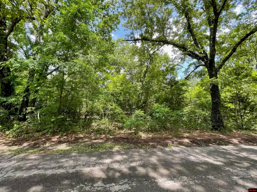 Lots 7 & 8 DEER PATH DRIVE, Lakeview, AR 72642 - Image #3