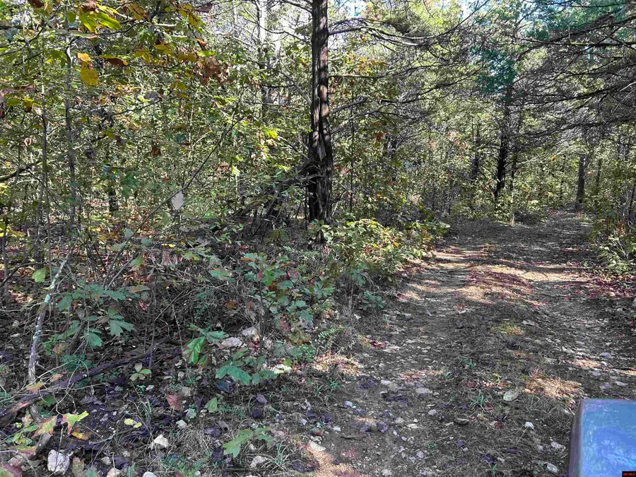 DRILLERS WAY, Mountain Home, AR 72653 - Image #3