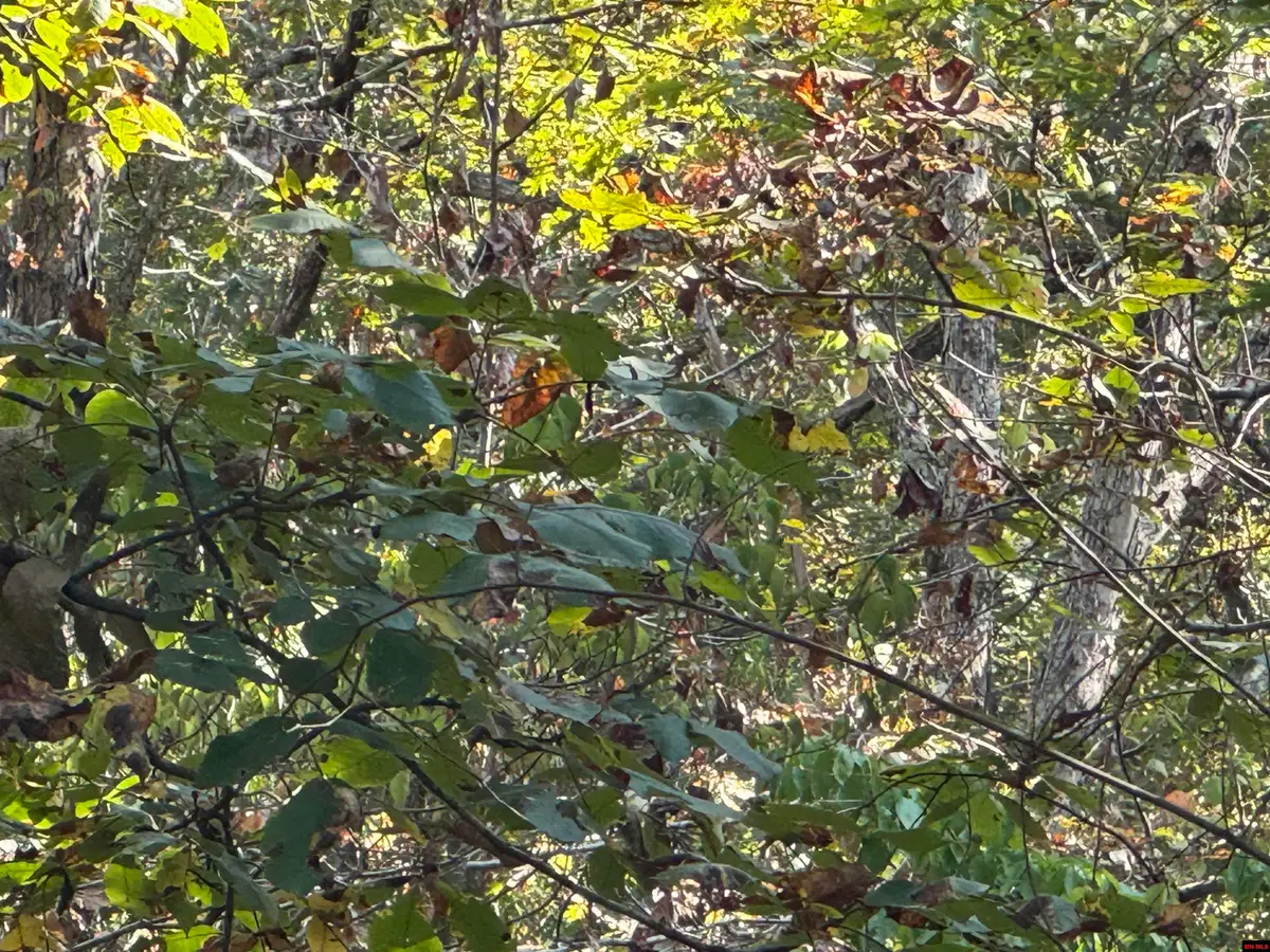 575-00021-000 HILLSIDE ROAD, Flippin, AR 72634 - Image #1