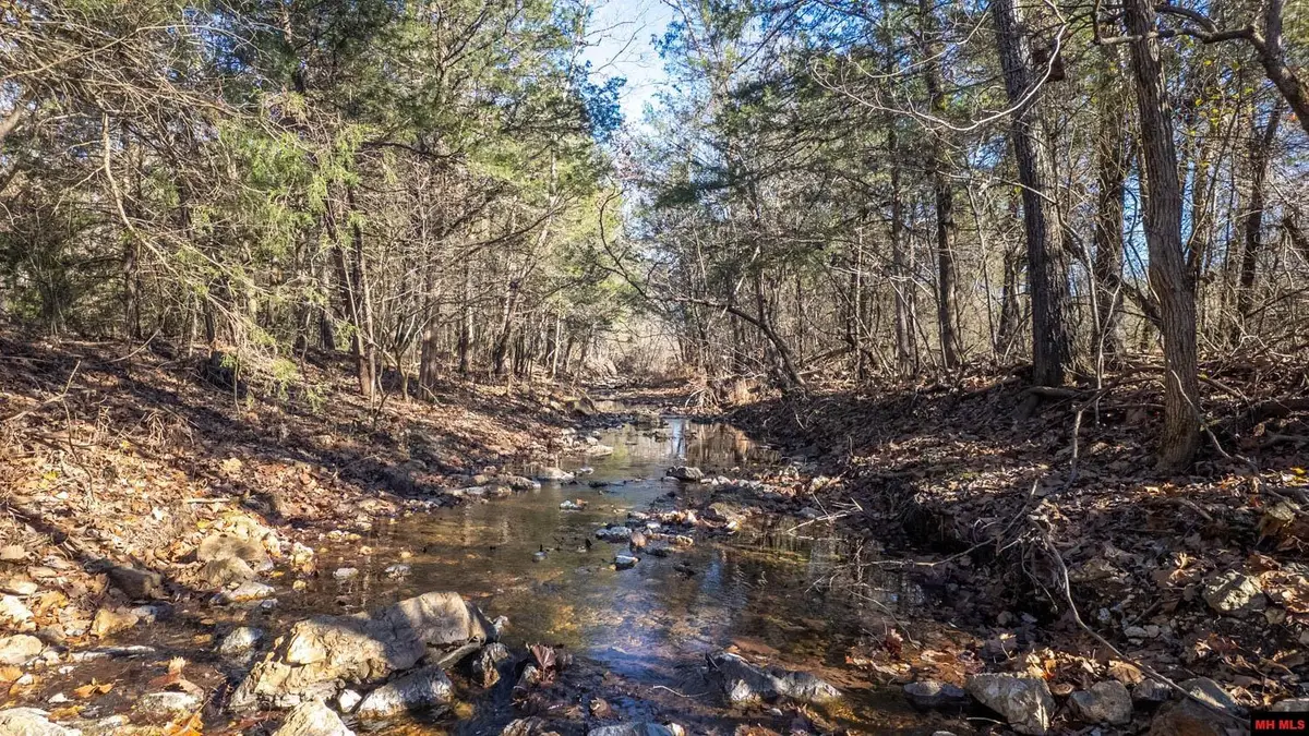 677319890006773 TIMBERCREST ROAD, Viola, AR 72583 - #1