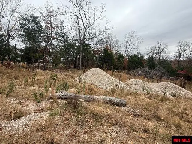 002-10735-000 WILDWOOD CIRCLE, Mountain Home, AR 72653 - Image #3