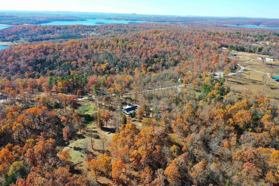 768 CR 153, Elizabeth, AR 72531 - #2