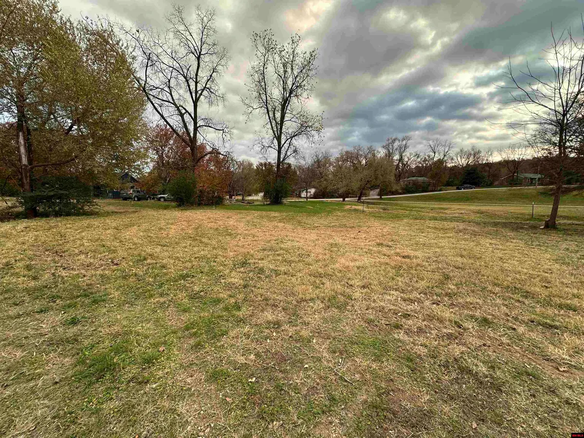 610 PANTHER AVENUE, Yellville, AR 72687 - #1