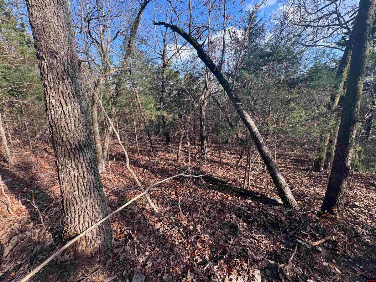 001-03671-002 HWY 101, Gamaliel, AR 72537 - Image #1