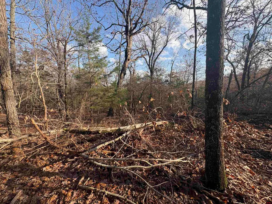 001-03671-002 HWY 101, Gamaliel, AR 72537 - Image #3