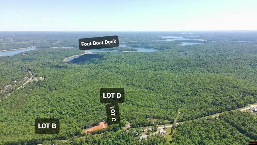 Tract C and D HWY 101, Gamaliel, AR 72537 - #2