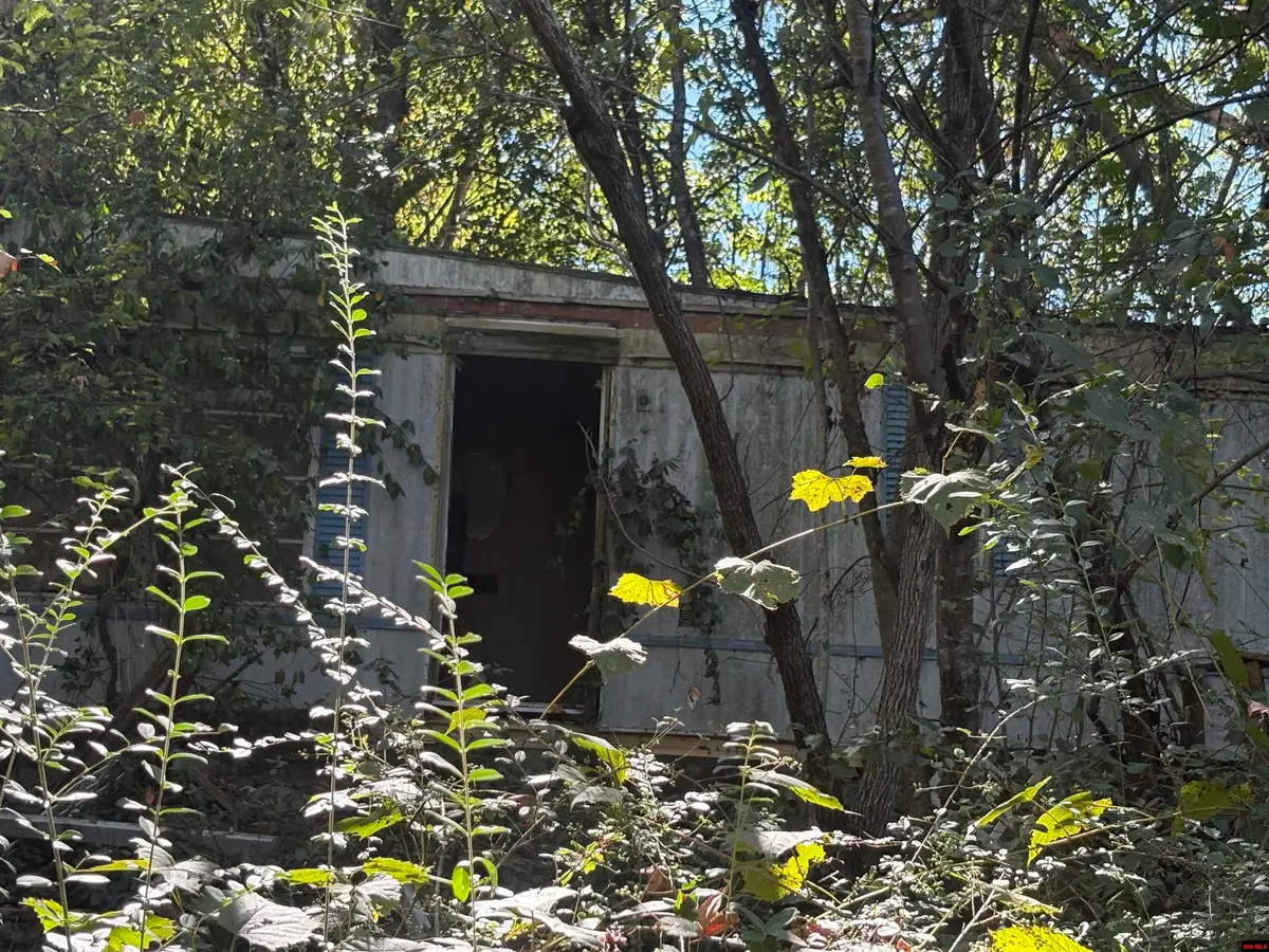 178 CR 677, Mountain Home, AR 72653 - #1