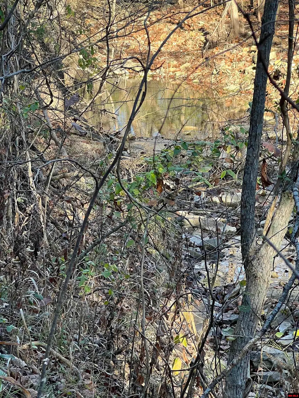 001-08378-001 HWY 62 WEST, Pyatt, AR 72672 - Image #1