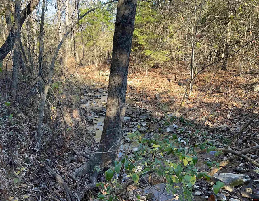 001-08378-001 HWY 62 WEST, Pyatt, AR 72672 - Image #3